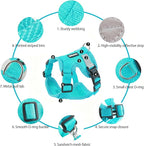 wanheart Cat Harness and Leash Set - Escape Proof Adjustable Breathable Vest for Cats, Soft Mesh Padded Harness with Reflective Strips - Easy Control for Kittens, Indoor & Outdoor Cats (Emerald, L)