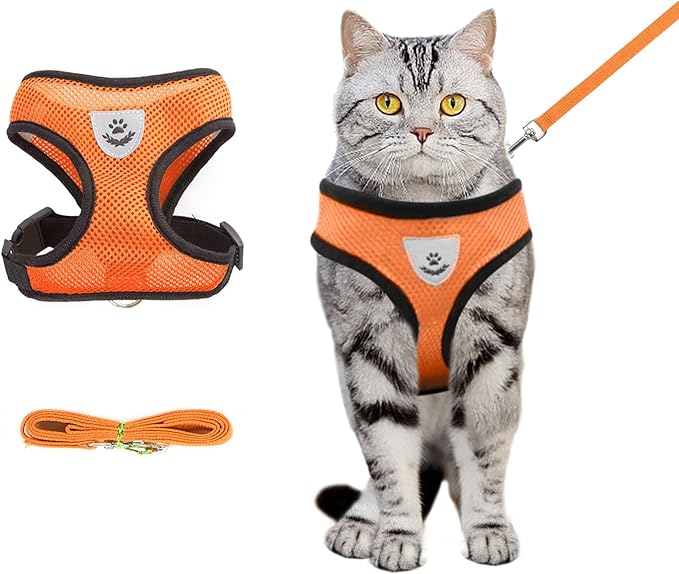 shudyear Summer cat Chest Harness and Leash, Anti-Escape Adjustable Soft mesh cat Leash and Chest Harness Set for All Types of Cats cat Vests (Size M, Orange)