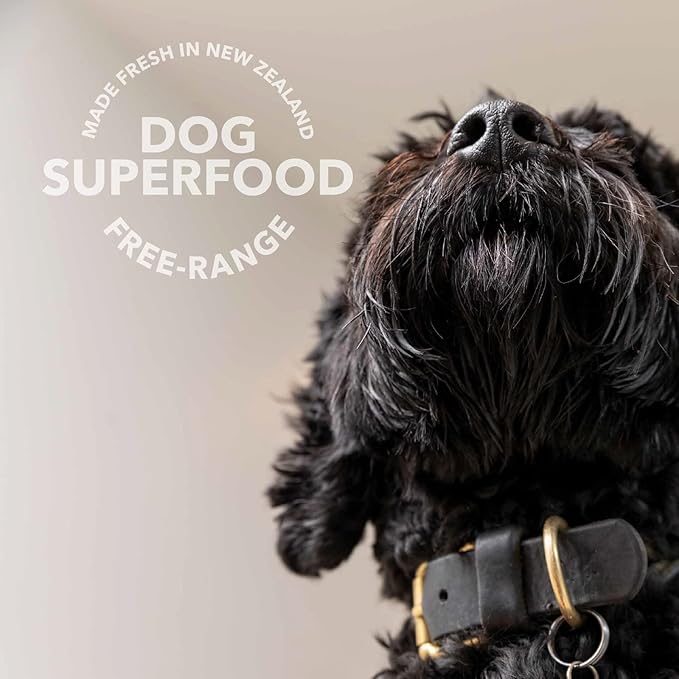 K9 Natural Freeze Dried Dog Food Topper with Verified Ingredients, Organ Meat Blend for Digestive Support, Human-Grade Freeze Dried Puppy Food & Dog Topping, Beef Green Tripe, 2.6oz