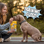 Chippin Fish & Sweet Potato Dog Training Treats (5oz, 1-Pack) | Natural Low-Fat, Low-Calorie Treats | Made in The USA | Grain-Free, Hypoallergenic, Chicken-Free Soft & Chewy Small Dog Treats