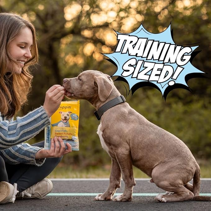 Chippin Fish & Sweet Potato Dog Training Treats (5oz, 1-Pack) | Natural Low-Fat, Low-Calorie Treats | Made in The USA | Grain-Free, Hypoallergenic, Chicken-Free Soft & Chewy Small Dog Treats