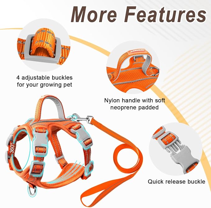 Cat Harness and Leash Set for Walking Escape Proof for Small Large cat Kitten Harness with ID tag Pocket (Orange,S)