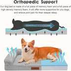 Orthopedic Dog Beds Large Sized Dog, 3 Inch Memory Foam Pet Bed for Medium and Large Dogs, Washable Removable Cover, Nonskid Bottom, Waterproof, 36x27 Inches L Light Grey