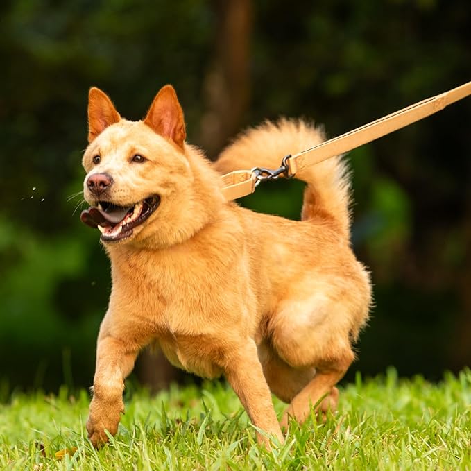 Hyhug Martingale Collar for Dogs Extra Large Clay |Escape - Proof Heavy Duty Nylon Durable No Pull, Ideal for Training & Daily Walks