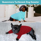 Queenmore Small Dog Sweater,Warm Pullover Dog Sweaters for Small Dogs Boys Girls,Soft Winter Doggie Sweaters,Thick Warm Dogs Clothes for Chihuahua,Dachshund,Yorkie(Lake Blue,S)