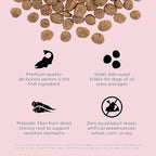 Go! Solutions Sensitivities Limited Ingredients, Grain-Free Dry Dog Food, Small Bites Salmon Recipe for Sensitive Stomach, 3.5 lb Bag