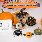 DKING 3Pack Squeaky Dog Balls,2 in1 Funny Puppy Ball Toys,Birthday Dog Toy for Small Medium Dogs (Halloween Ball)