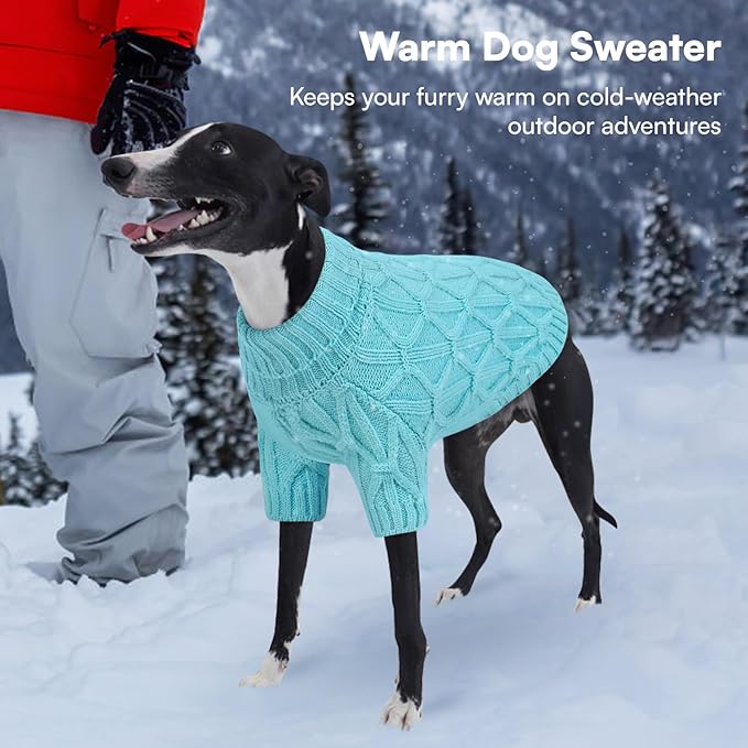 Queenmore Knitted XS Dog Sweater,Turtleneck Pullover Small Dog Sweater,Soft DogSweaters for Small Dogs Male Female, Pet Sweaters for Dogs,Thick Warm Pet Clothes for Teacup,Chihuahua(Lake Blue,XS)