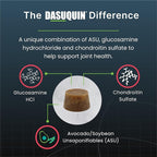 Nutramax Dasuquin Joint Health Supplement for Small to Medium Senior Dogs – for Immune Support, Skin & Coat Health, and Brain Health, 84 Soft Chews