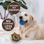 Plush Hedgehog Dog Toys 3 PCS - Squeaky No-Stuffing Hedgehog for Small and Medium Dogs - Keep Your Puppy Busy with Multi-Colored Interactive Toys for Aggressive Chewers