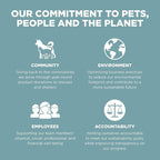 Go! Solutions Digestion + Gut Health, Dry Cat Food, Chicken Recipe with Ancient Grains, 3 lb Bag