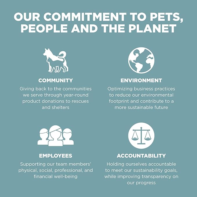 Go! Solutions Digestion + Gut Health, Dry Cat Food, Chicken Recipe with Ancient Grains, 3 lb Bag