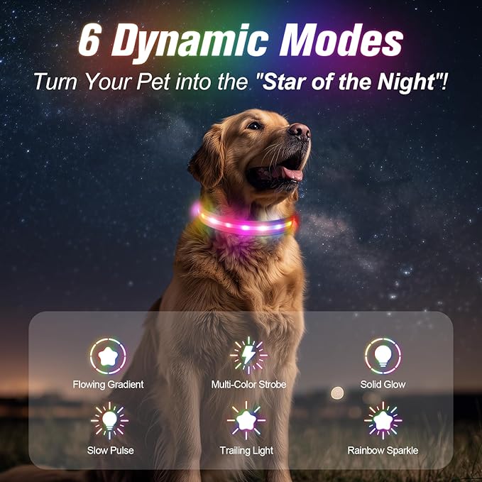 LED Dog Collar, Light Up Dog Collar, USB Rechargeable - Brightest Dog Lights for Night Walking, 6 Light Modes, Adjustable for Dog Safety(Medium, Candy Pink)