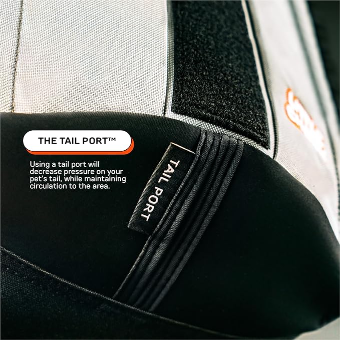 The Maxine One Small Dog Carrier by Little Chonk | Dog Backpack Carrier for Small Sized Breeds | Adjustable Front Facing Pet Carrier for Travel | Dog Hiking Backpack - Chonkcrete Gray