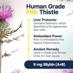 Liver Health Supplement for Small Dogs - Milk Thistle for Dogs Liver Support with S-Adenosylmethionine (Same) & Silybin - 30 Tablets