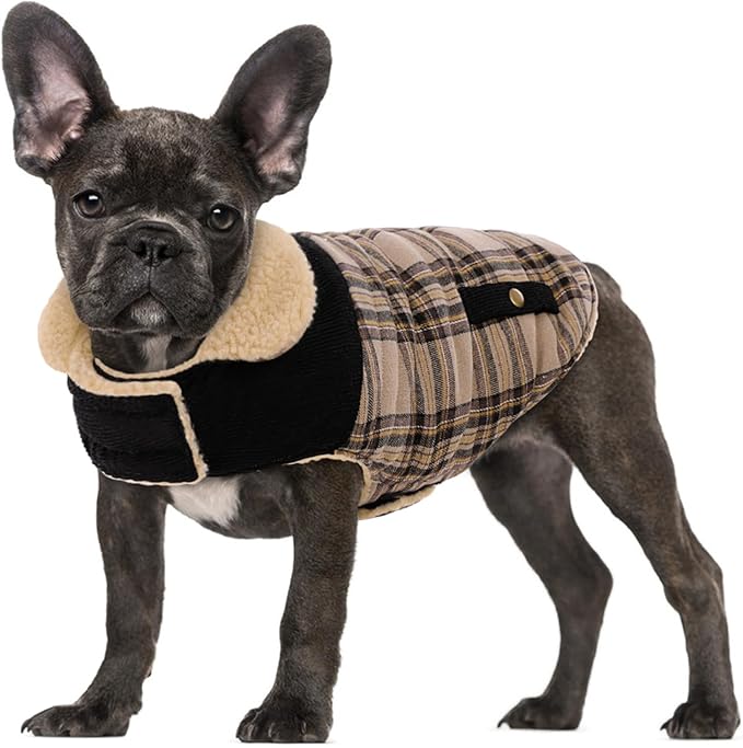 Large Dog Winter Jacket, Pet Warm Windproof Coat Dogs Cold Weather Coats Snow Jacket Pets Clothes, Golden Retriever, Labrador Retriever, Husky, Beige L