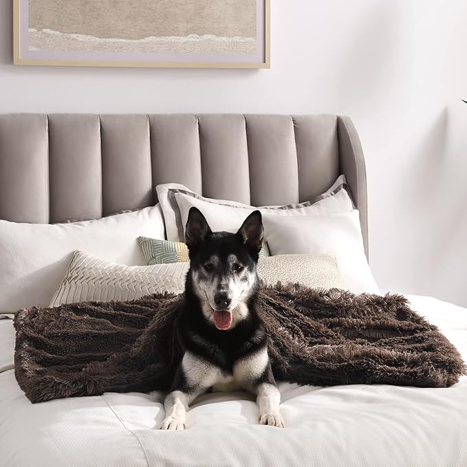 Best Friends by Sheri Bundle Set The Original Calming Shag Donut Cuddler Cat and Dog Bed + Pet Throw Blanket Dark Chocolate Large 36" x 36"