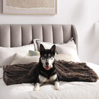 Best Friends by Sheri Bundle Set The Original Calming Shag Donut Cuddler Cat and Dog Bed + Pet Throw Blanket Dark Chocolate Large 36" x 36"