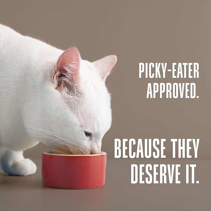 Whole Life Cat Freeze Dried Cat Food - Human-Grade Wet Food Toppers, Single Ingredient Snacks & Lickable Treats, Instantly Hydrating Natural Broth Just Add Water, Made in USA - Salmon & Tuna, 3 Oz