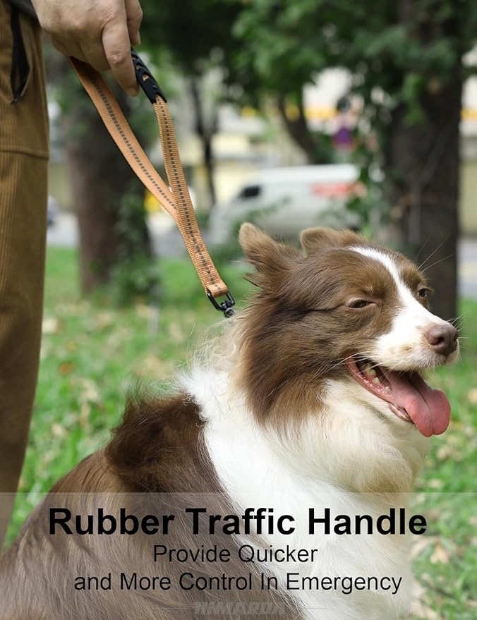 Dog Leashes for Medium Large Dogs Heavy Duty, 4-6FT Shock Absorbing No Pull Dog Leash with Advanced Easy Metal Clip, 2 Comfortable Padded Handles (Coyote Brown)