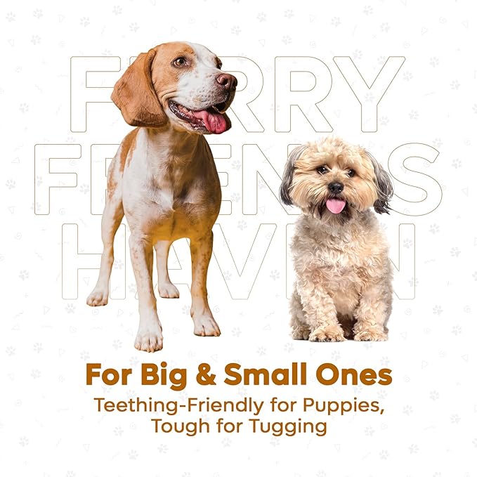 Squeaky Dog Toys – No-Stuffing Crinkle Plush, Durable Puppy Teething & Interactive Play, 2-Pack