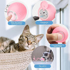 Interactive Cat Toys, Automatic Moving Cat Toys for Bored Indoor Adult Cats, Fast Rolling, Chirping & Motion-Activated Kitty Toys, Fun Gift for Cats with Speedy Tail 2.0, USB Rechargeable,Pink