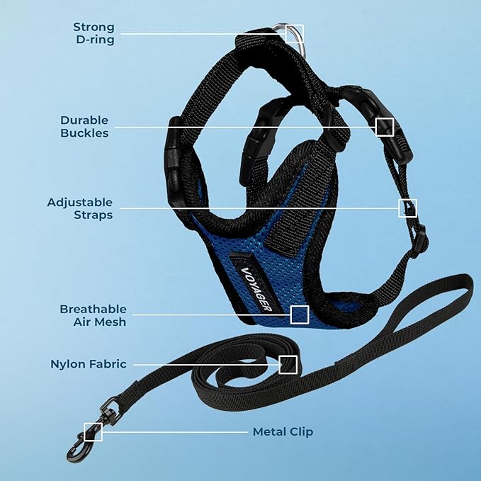 Voyager Escape-Proof Step-in Lock Cat Harness & 5ft Neoprene-Handle Leash Set All-Weather Mesh with Reflective Stitching for Small to Large Cats by Best Pet Supplies, Royal Blue/Black Trim, XS