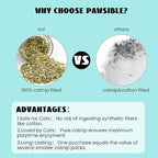 Cat Toys for Indoor Cats, 100% Pure Organic Catnip-Filled Toys Without Cotton, Interactive Cactus Kitten Toy for Anxiety Relief, Soft Cute Teething &Chew Toys, 5 Pack