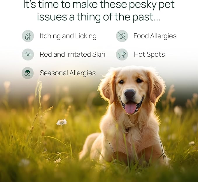 pawTree Natural Allergy Support Plus for Dogs-Ideal for Itching, Irritated Skin, Seasonal and Food Allergies, Hot Spots. Supplement Your pet Will Love. Small Chews for Pets - 60 Count (Small)