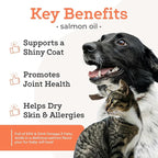 VetPro Complete Wild Alaskan Salmon Oil Formula Supplement for Dogs & Cats, 16 Ounces, Omega 3 & 6 Liquid Fish Oil, EPA + DHA Fatty Acids, Coat & Joint Support, Helps Dry Skin & Allergies, Add to Food