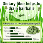 50g/1.76oz Cat Grass Treats, Cat Grass Teething Stick for Hairball Remove and Teeth Cleaning, Edible Cats Grass Stick Snack