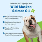 Pet Wellbeing Wild Alaskan Salmon Oil for Dogs - Wild-Caught, Cold-Processed, Daily Omega-3 Fish Oil for Healthy Coat and Skin, Joint Mobility and Strength - EPA, DHA - 16 fl oz (473 ml)