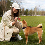 Jungle Calling Duck Wrapped Bones Dog Treats, Made with Real Meat & Cartilage, Rawhide Free Dogs Snacks,Healthy, Easily Digestible, and High Protein Chews Bone Treat