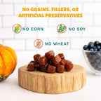 Plant-Based Pumpkin Dog Treats - Pumpkin, Carrot, Apple, and Blueberry Soft & Chewy - Vegetarian, Vegan Dog Treats with Organic Ingredients - Low-Protein, Hypoallergenic, Gluten-Free