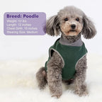 cyeollo 2 Pack Dog Sweater Stretchy Sweatshirt Lightweight Fleece Vest Reflective Jacket Dog Clothes Sweaters for Medium Dogs Boy Green & Grey