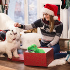 Dog Toys Cute Dinosaur Plush Toy for Large Dogs - Squeaky Interactive Stuffed Dog Chew Toy for Puppies, Pet Toys for Small to Large Breeds