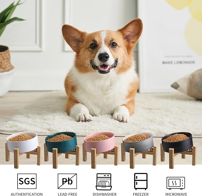 Elevated/Raised 15°Tilted Anti Slip Ceramic Dog Bowls,Slanted Bulldog Pet Food Water Feeding Dish Stand for Cats and Dogs (3.6 Cups/28 OZ) Grey White