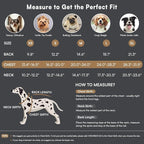 Queenmore Dog Winter Coat Warm Puffer Jacket Waterproof Plush Lining Thermal Cold Weather Vest for Small Medium Large Dogs, Windproof Easy On Pet Jacket Black M