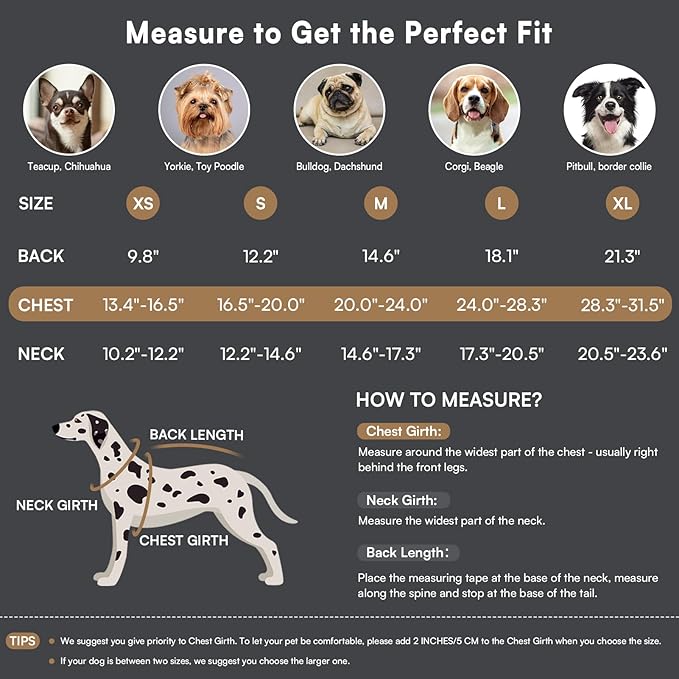 Queenmore Dog Winter Coat Warm Puffer Jacket Waterproof Plush Lining Thermal Cold Weather Vest for Small Medium Large Dogs, Windproof Easy On Pet Jacket Blue XL