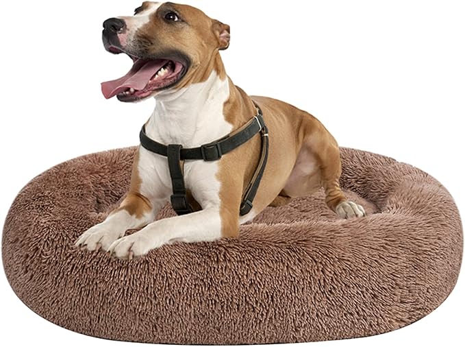 Coohom Oval Calming Donut Cuddler Dog Bed,Shag Faux Fur Cat Bed Washable Round Pillow Pet Bed(30"/36"/43") for Small Medium Dogs (XXL(43"x34"x8"), Camel)
