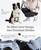 2025 New Edition, Fei & Eve MagEase Dog Harness - 3-Second Magnetic Buckles | 3-Point No-Pull Control | Heavy-Duty 900D Nylon | Dual Safety Handles | Breathable Mesh | Adjustable Fit |Small, Blue