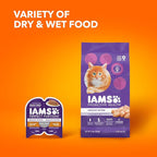 IAMs Proactive Health Dry Food for Cats - Kitten - Original - 3.18kg