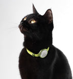 Safety Cat Collar Pro - U.S. IDA Gold Awarding Design, Elastic Quick Release Cat Collar with Buckle Non Breakaway - Lightweight for Kitten All Small Large Cats (Glacier Silver, M 7.9-15.7")