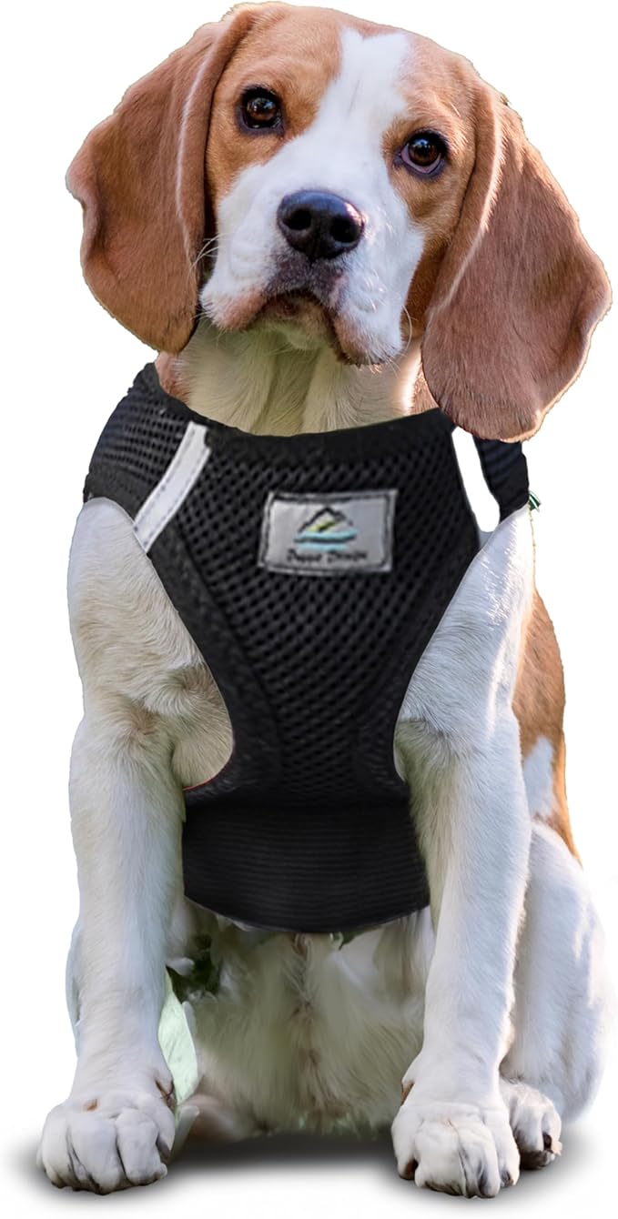 Chest-Pull Dog Harness | Black by Doggie Design