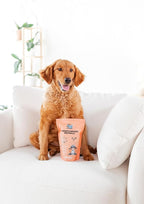 Freeze-Dried Dog Treats – Harvest Meatballs – Ground Beef, Turkey, Pumpkin, Sweet Potato & Cinnamon – Natural Treats for Small, Medium & Large Dogs – No Preservatives – 7 oz Bag