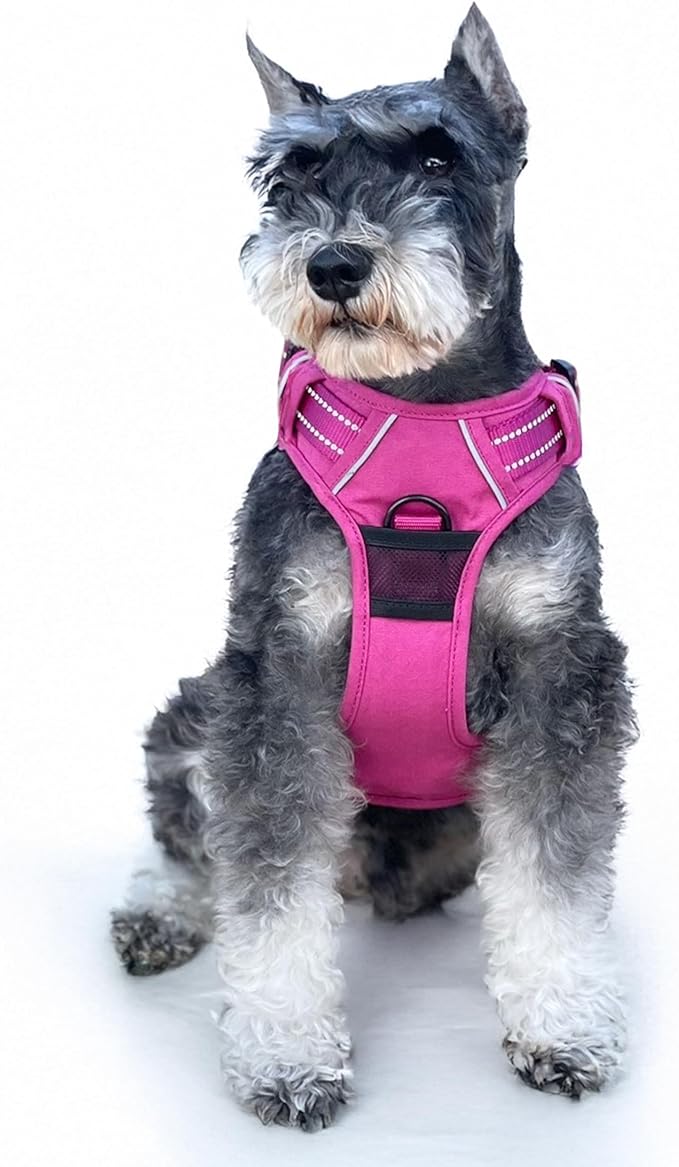 Doggie Design Venture Paw No Pull Dog Harness - Simple Adjustable Puppy Harness - Anti Pull Dog Collar for Walks and Outdoor Adventures - Wild Raspberry, M