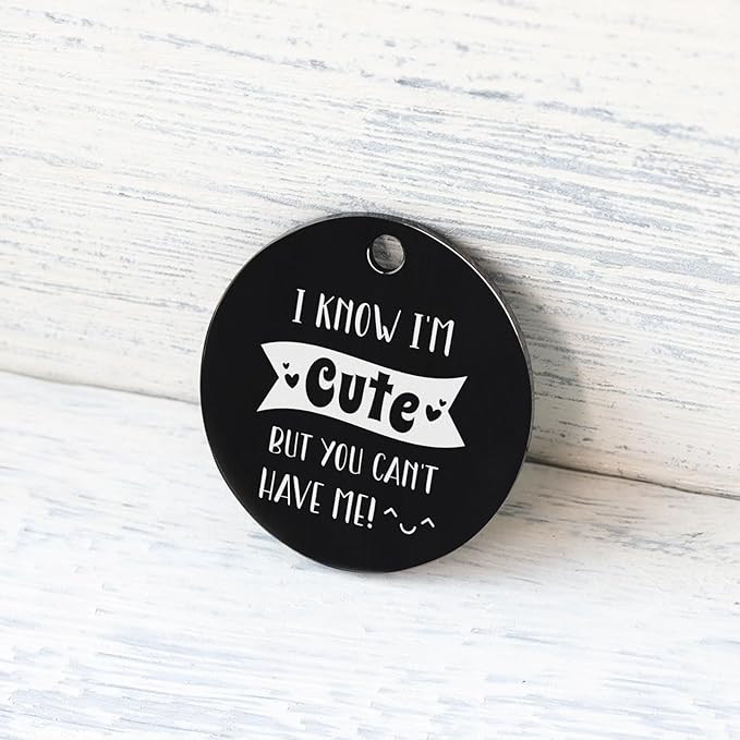 MYLUCKYTAG QR Code Stainless Steel Pet ID Tag - Personalized Online Profile, Location Alert Email, Digital and Durable Dog Collar Tag, Engraved