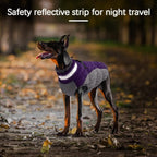 Large Dog Coat, XXLarge Dog Winter Coat, Waterproof Pet Jacket with Back Zipper,Extra Large Pet Coats, Warm Fleece Jacket with D-Ring, Windproof Winter Clothes Golden Retriever,Purple,XXL