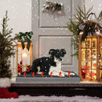 Orthopedic Foam Heated Pet Bed, Auto Temperature Control, Waterproof, Chew Resistant Cord, for Dogs/Cats (Medium, Black)