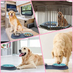 Slow Feeder Dog Bowls 3 in 1 Stainless Steel Dog Food and Water Bowls with Non-Spill and Non-Skid Silicone Mat to Slow Down Eating for Large Medium Small Breed Size Dogs and Cats (Light Grey)